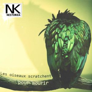 Les Oiseaux Scratchent Pour Mourir