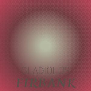 Gladiolus Firbank