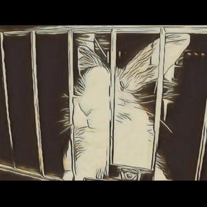 Lab Rabbit (Explicit)