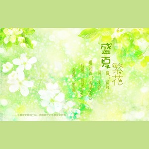 七月流光
