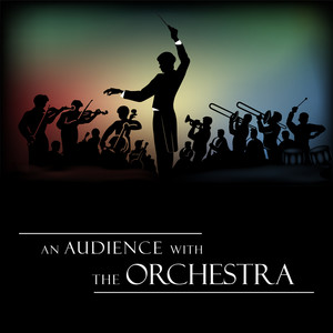 An Audience with the Orchestra