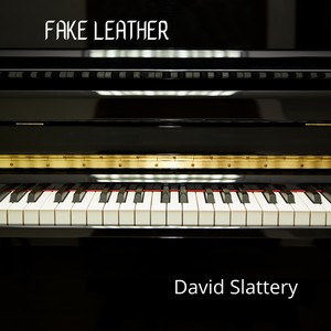 Fake Leather