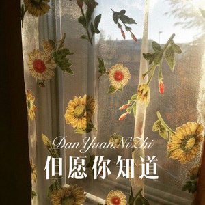 你都忘了你有多美 (Remix)