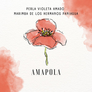 Amapola