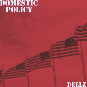 Domestic Policy (Explicit)