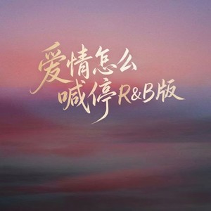 爱情怎么喊停 (R&B版)封面