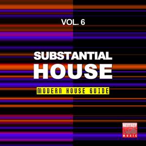 Substantial House, Vol. 6 (Modern House Guide)