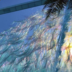 沈楠. - 刻在我心底的名字+去北极忘记你 (钢琴治愈版)