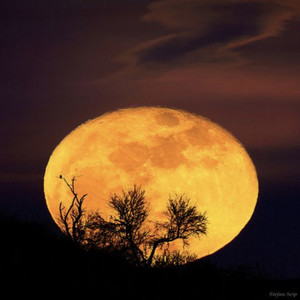 オレンジ・ムーン