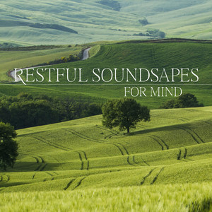 Restful Soundsapes for Mind: Rebalance Yourself, Therapy for Relaxation, Remove Bad Emotions