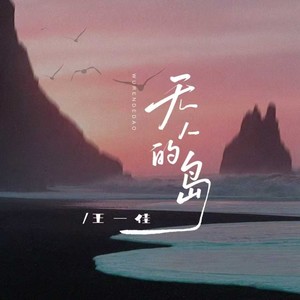 无人的岛 (DJ阿飞版)