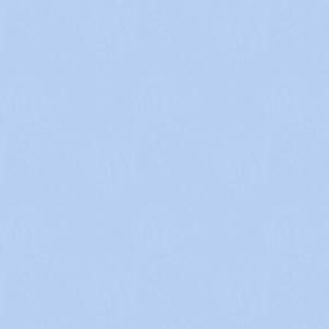 that wolf is gonna kill itself one day