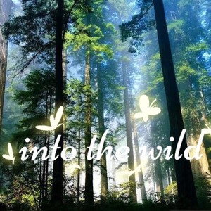 Into The Wild