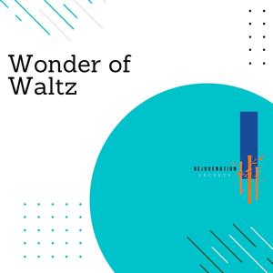 Disney Waltz (Solo Piano in B Minor)