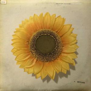 Strange (feat. Lusty Apricot) (Inst.)