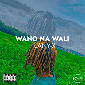 Wano Na Wali (Explicit)