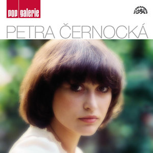 Pop galerie Petra Černocká