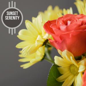 Stress Relieving Piano Magic