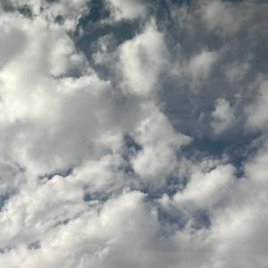 No fear (feat. Xolilsauce) (Explicit)