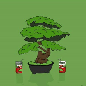 Bonsai (Remix)