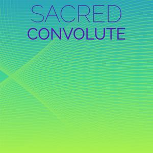 Sacred Convolute