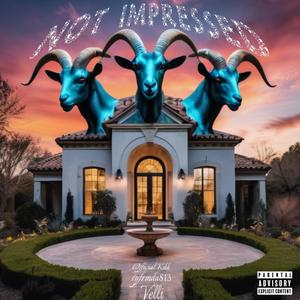 Not Impressed (feat. heyvelli) [Explicit]