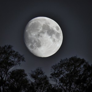 Ritmos Nocturnos Para La Mente