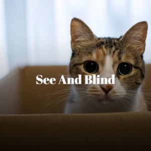 See And Blind