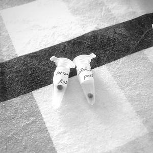 semillas. (feat. JD810) (Explicit)