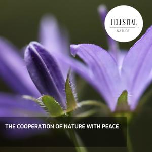 The Cooperation of Nature With Peace