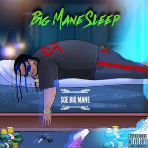 Big Mane Sleep (Explicit)