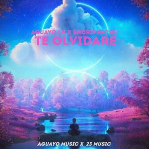 TE OLVIDARE(feat. shorip4ncho)