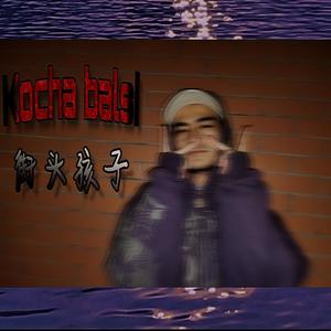 Kocha balsi (2017版)