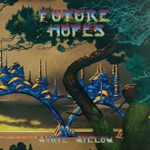 Future Hopes