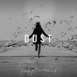 Dust