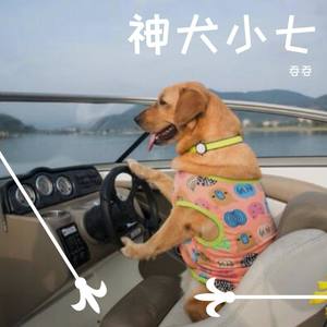 神犬小七