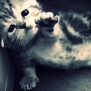 taka sama (Explicit)