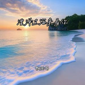 漂洋过海来看你