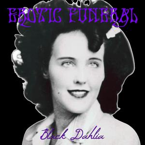 Black Dahlia