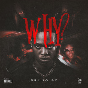 Why (Explicit)