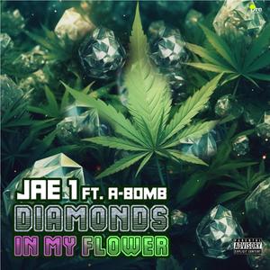 Diamonds In My Flowers (feat. A-Bomb) (Explicit)