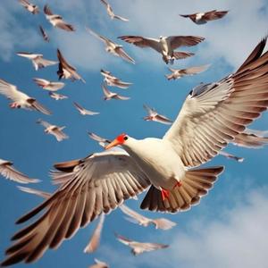 #geekums (feat. 03osc) (Explicit)