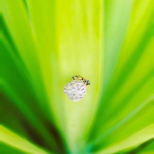 Embracing The Inevitable