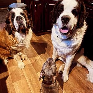 Drop My Hand (Requested Scratch)