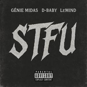STFU (feat. D-Baby & LeMind) (Explicit)