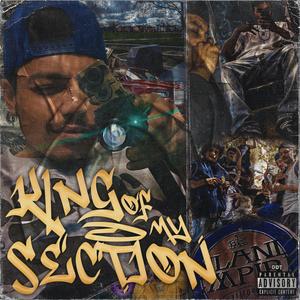 King of My Section (Explicit)