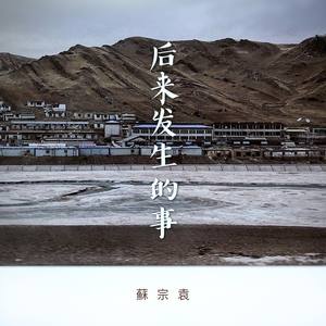 后来发生的事