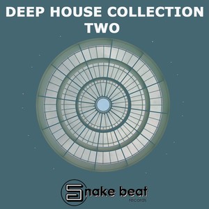 Deep House Collection, Vol. 2