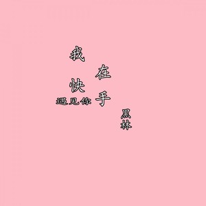 我在快手遇见你