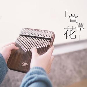 萱草花(拇指琴) (翻自 张小斐)